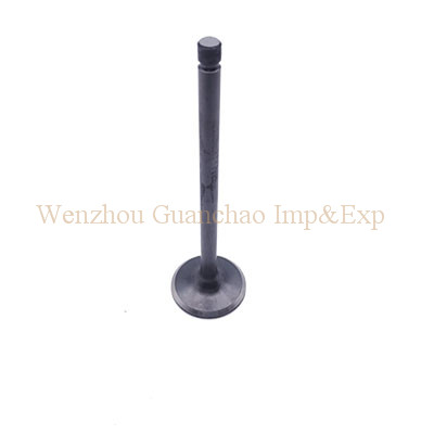 INTAKE VALVE 22211-42010 HYUNDAI-H100