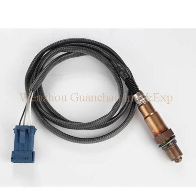 OXYGEN SENSOR 0258006029